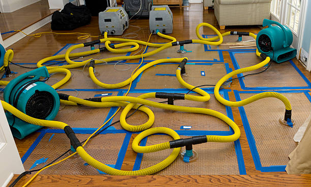 Professional Basement Flood Cleanup technician working in Copperas Cove, TX